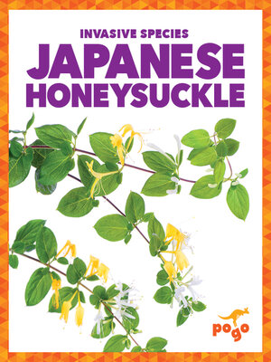 cover image of Japanese Honeysuckle